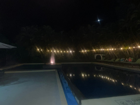 The Palms At Coco Beach主图