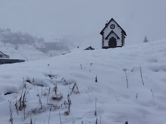 Hotel Alpenrose主图