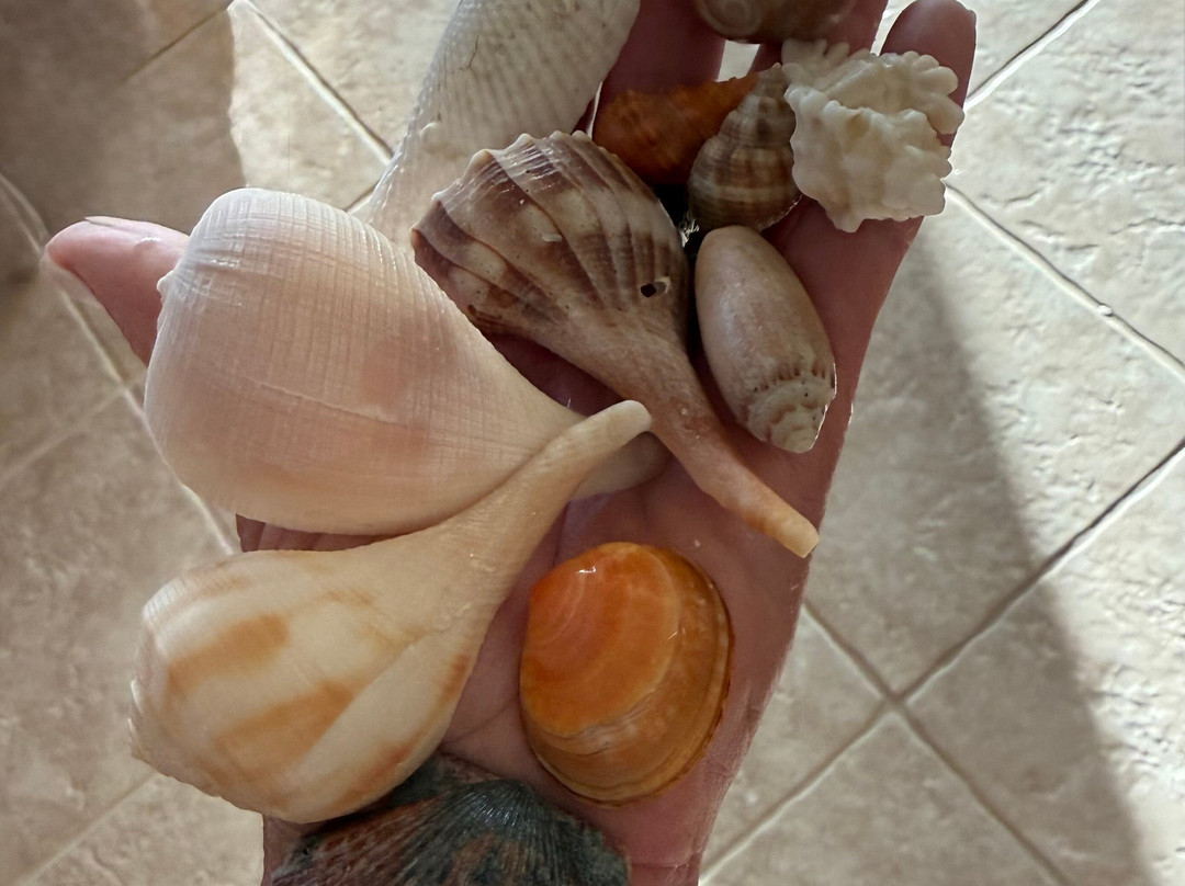 Reel Kind Fishing and Tours-Goodland必去景点