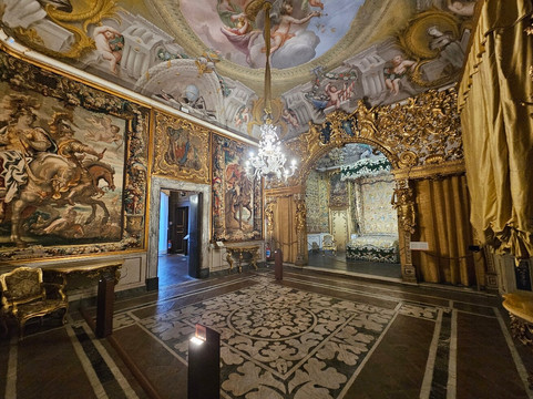 Museo Nazionale di Palazzo Mansi-卢卡必去景点