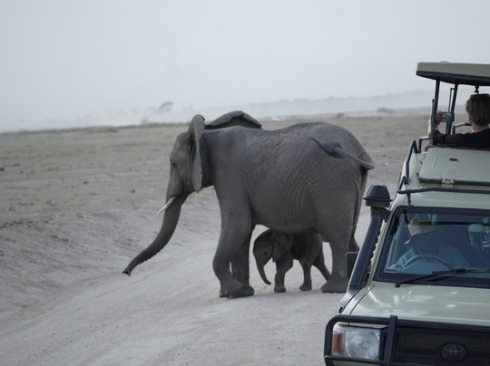 Watamu Diego Safari Day Tours-瓦塔木必去景点