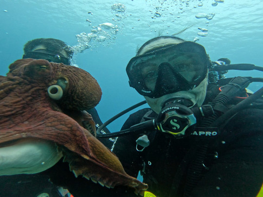 Trident Adventures-火奴鲁鲁必去景点