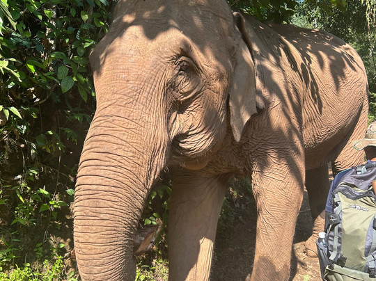 Chiang Mai Eco Trekking-清迈必去景点