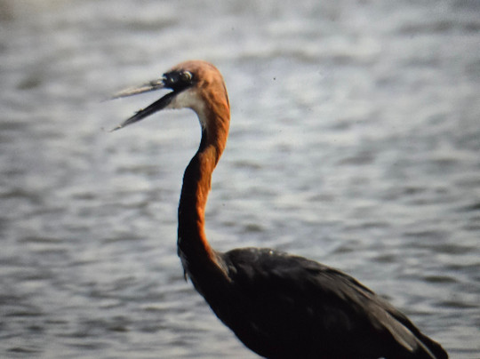 Explore RwandaTours-吉佳利必去景点