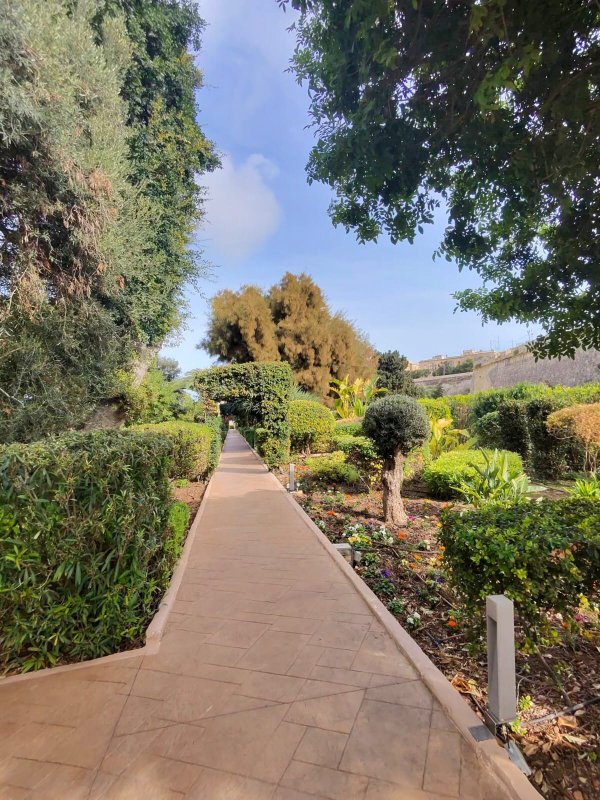 腓尼基马耳他酒店-浴室