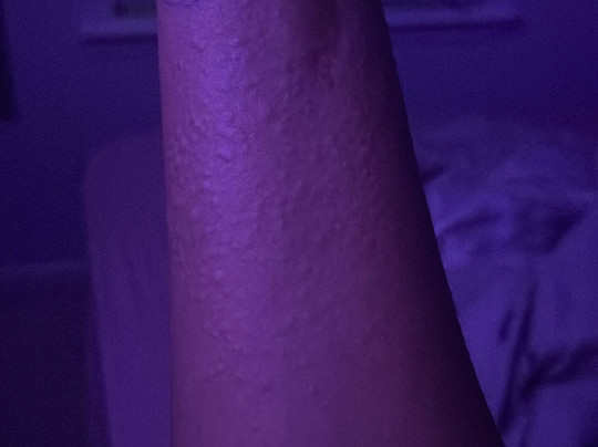 Spark By Hilton Savannah South I-95主图