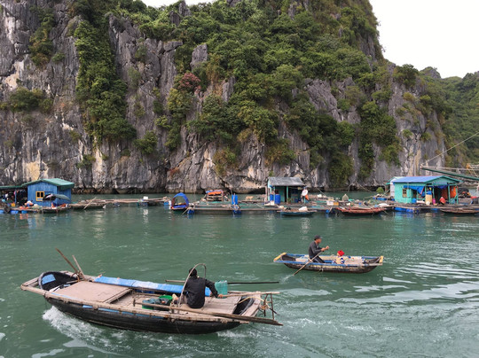 Hạ Long Bay