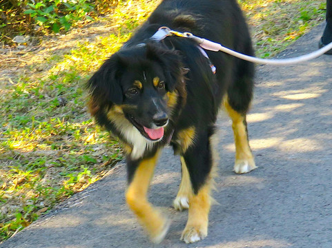 Rotary Park Environmental Center-开普科勒尔必去景点