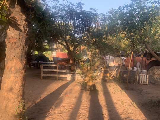 Kotu Horses-Kotu必去景点