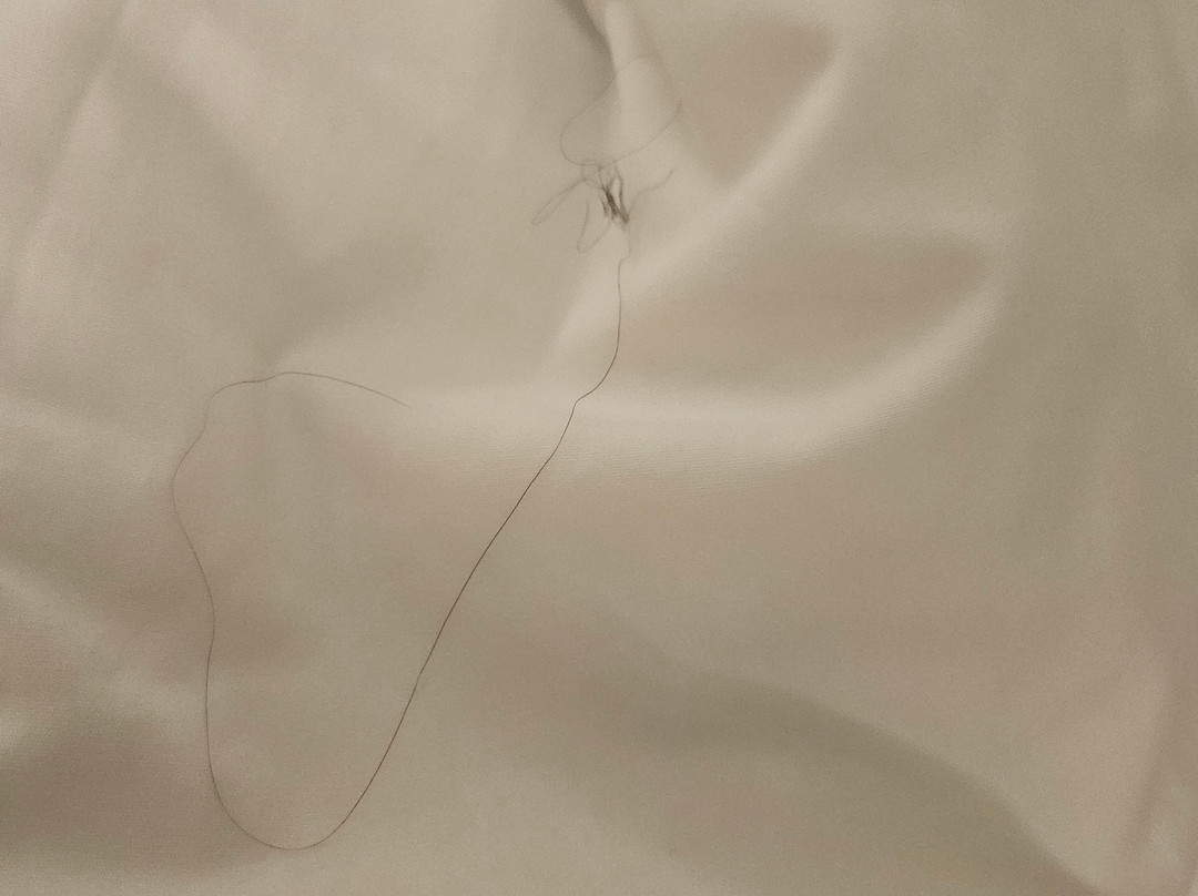 阿拉梅达奥克兰机场希尔顿惠庭酒店主图