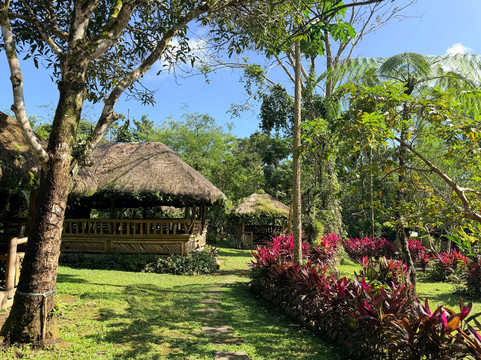Balay Buhay Sa Uma Bee Farm-Bulusan必去景点
