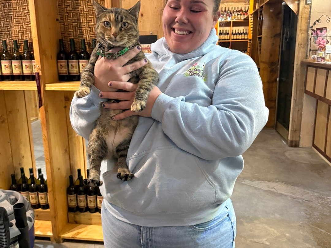 Lanthier Winery & Distillery-麦迪逊必去景点