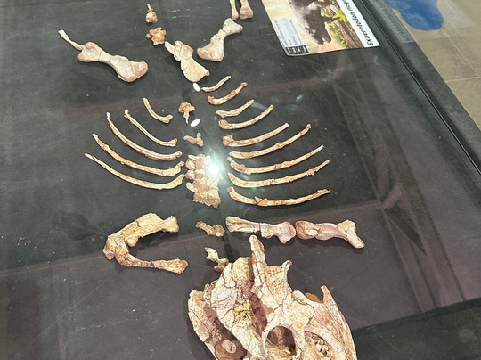 CAPPA-Centro de Apoio à Pesquisa Paleontológica da Quarta Colônia-Sao Joao do Polesine必去景点