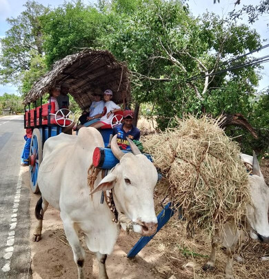 Sudath Safari and Tours Sri Lanka-锡吉里亚必去景点