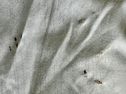 华盛顿国家港口威斯汀酒店主图