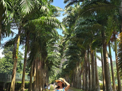 Act Sri Lanka-科伦坡必去景点