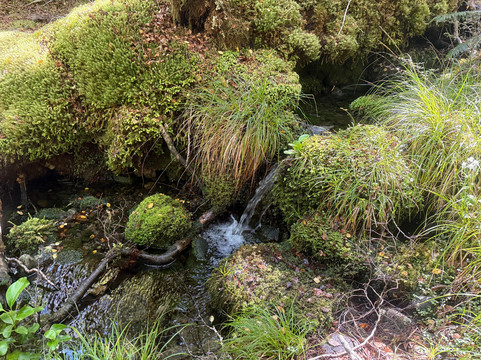 Lewis Pass-Maruia必去景点