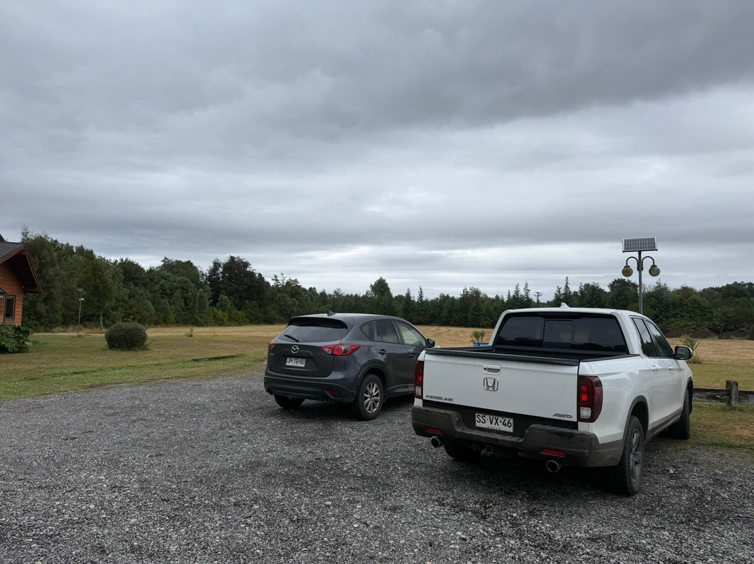 Eco Terra Verde主图