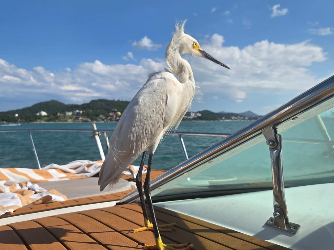 Vou de Lancha-弗洛里亚诺波利斯必去景点