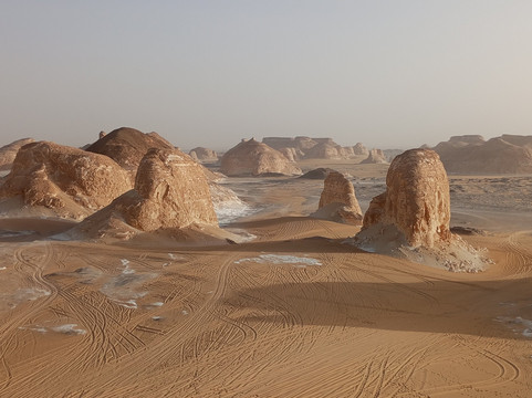 Jimmy Egypt Safari-Bawiti必去景点