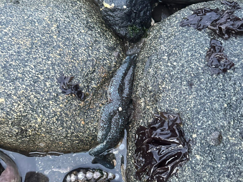 Outlook Park-Petersburg必去景点