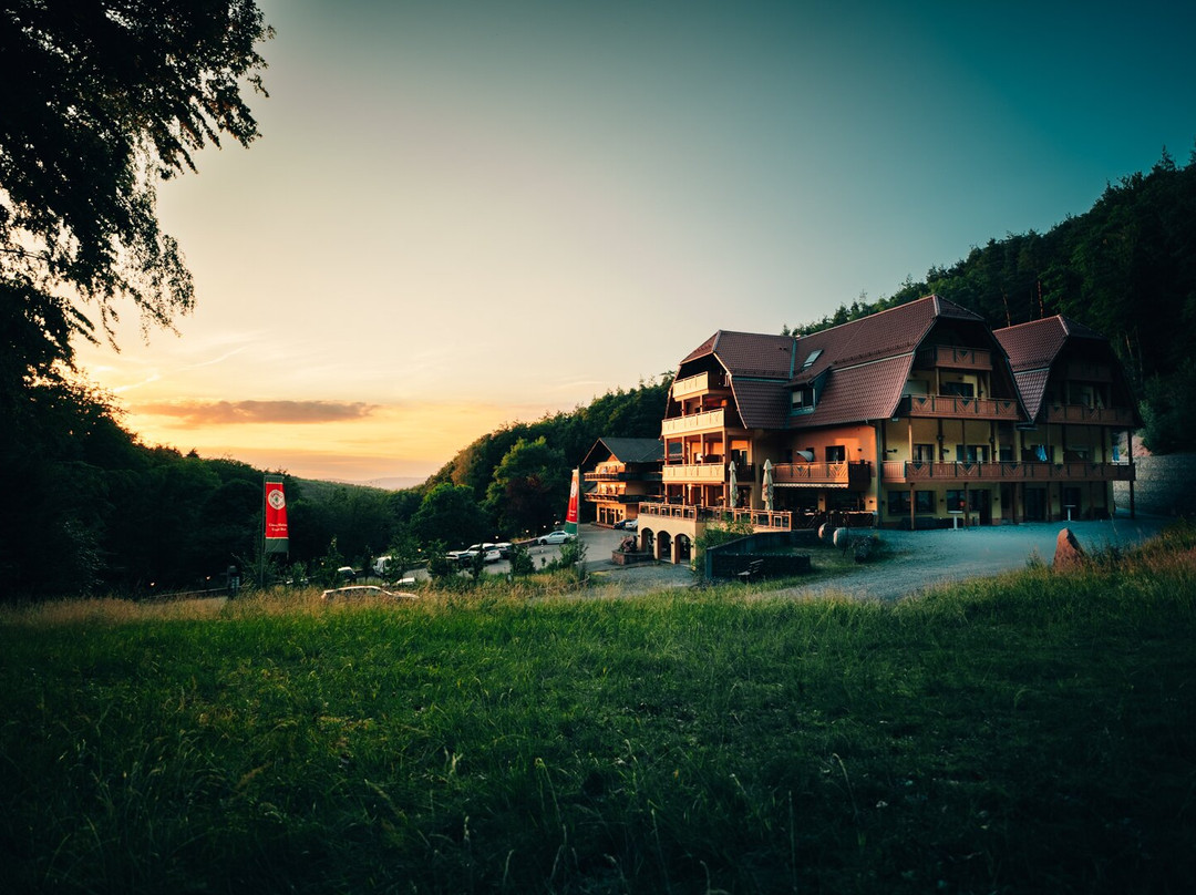 赫比森林酒店主图