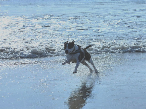 Gordons Pond-里霍博斯比奇必去景点