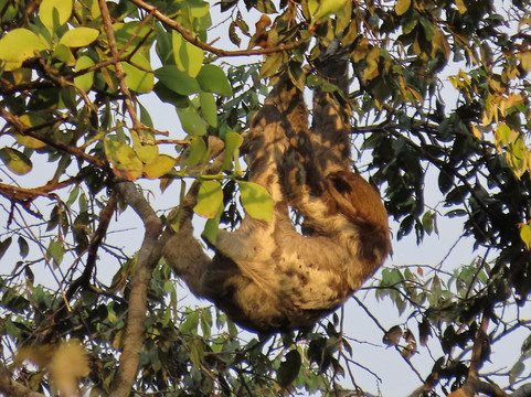 Go Galápagos Tours-Baltra必去景点