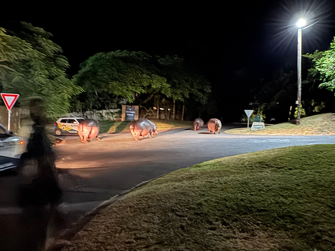 赫里塔奇之家酒店主图