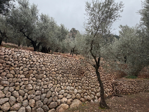 Es Seregalls-Fornalutx必去景点