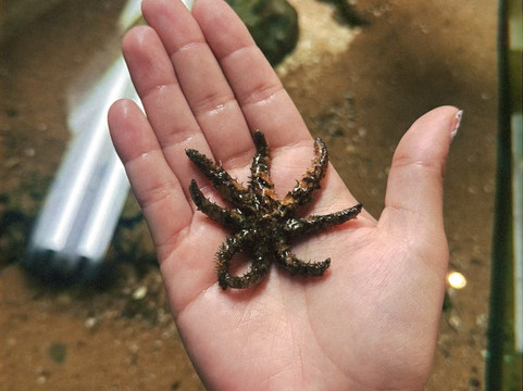 Centro Ciência Viva do Algarve-法罗必去景点