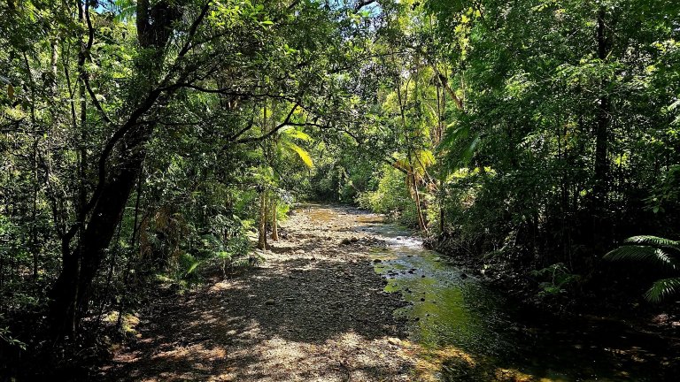 林克庄雨林度假村-官方