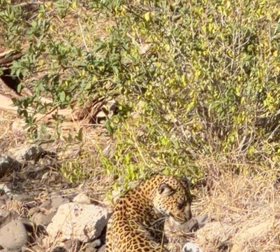 Rhino Africa Safaris-开普敦中心区必去景点