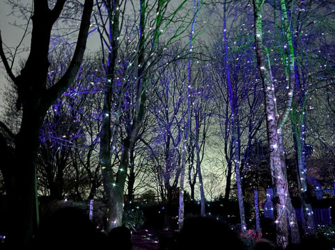 Hawk Conservancy Trust Bird of Prey Centre-Andover必去景点