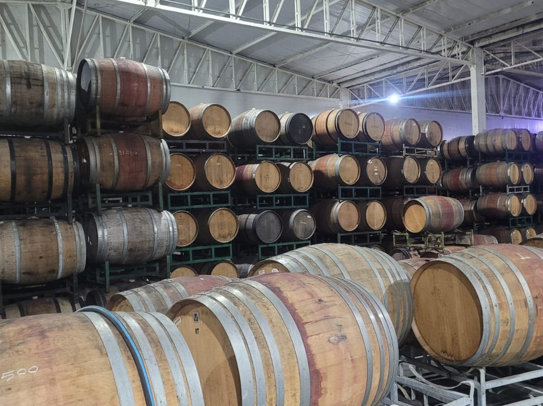 MontGras-Palmilla必去景点