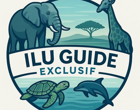 Ilu guide exclusif