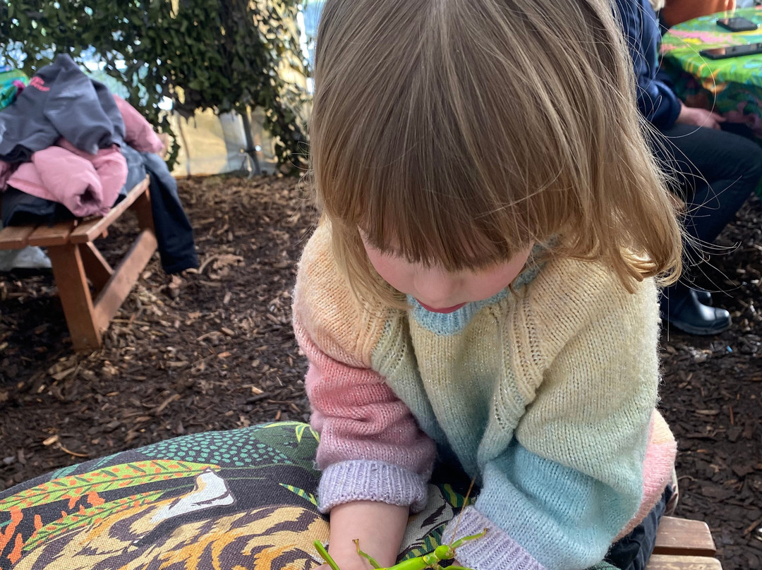 Butterfly Gardens @ Middleton Common Farm-Westmeston必去景点