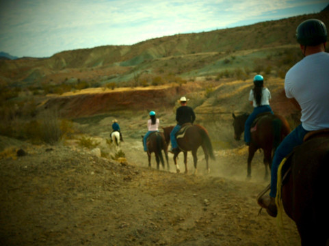 Big Bend & Lajitas Stables-Terlingua必去景点
