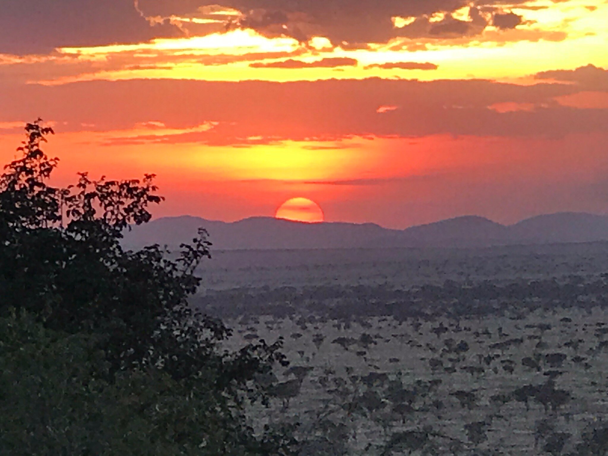塞伦盖蒂山脉酒店-官方