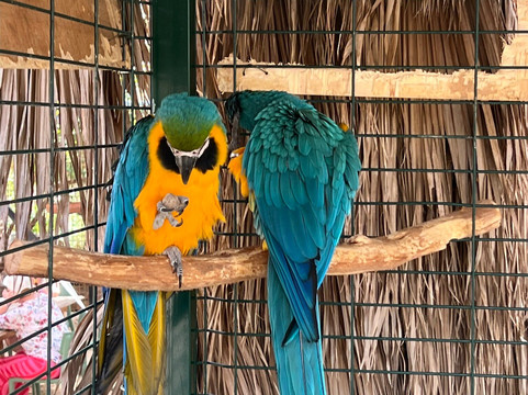 Viveiro, Botanical Garden & Zoo di Terra-圣塔玛丽亚必去景点