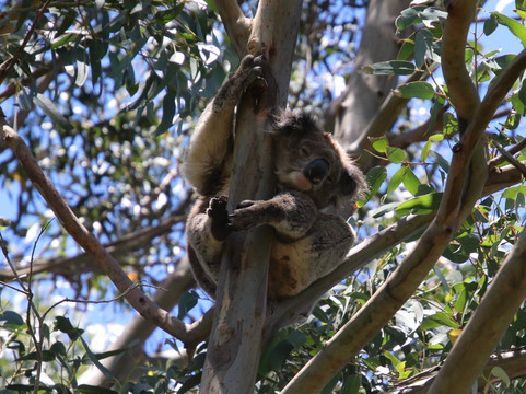 彼鲁兹洛恩酒店主图