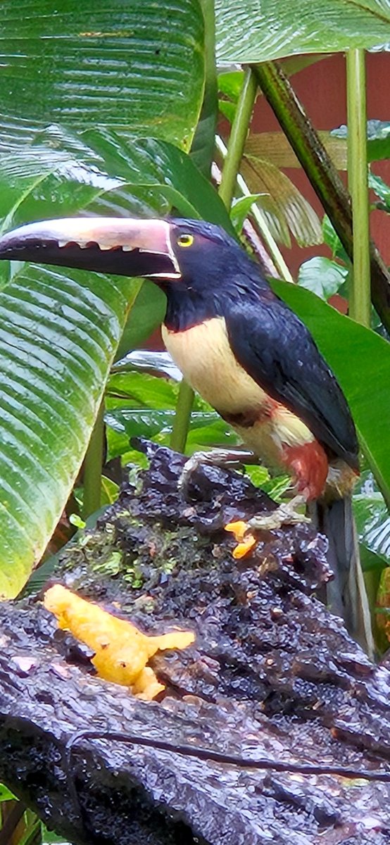克勒斯特海德尔维酒店-浴室
