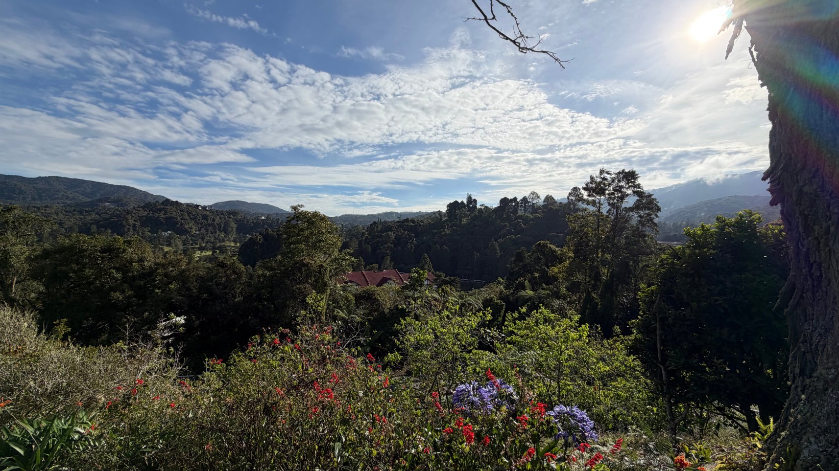 迪拉芬斯酒店-官方