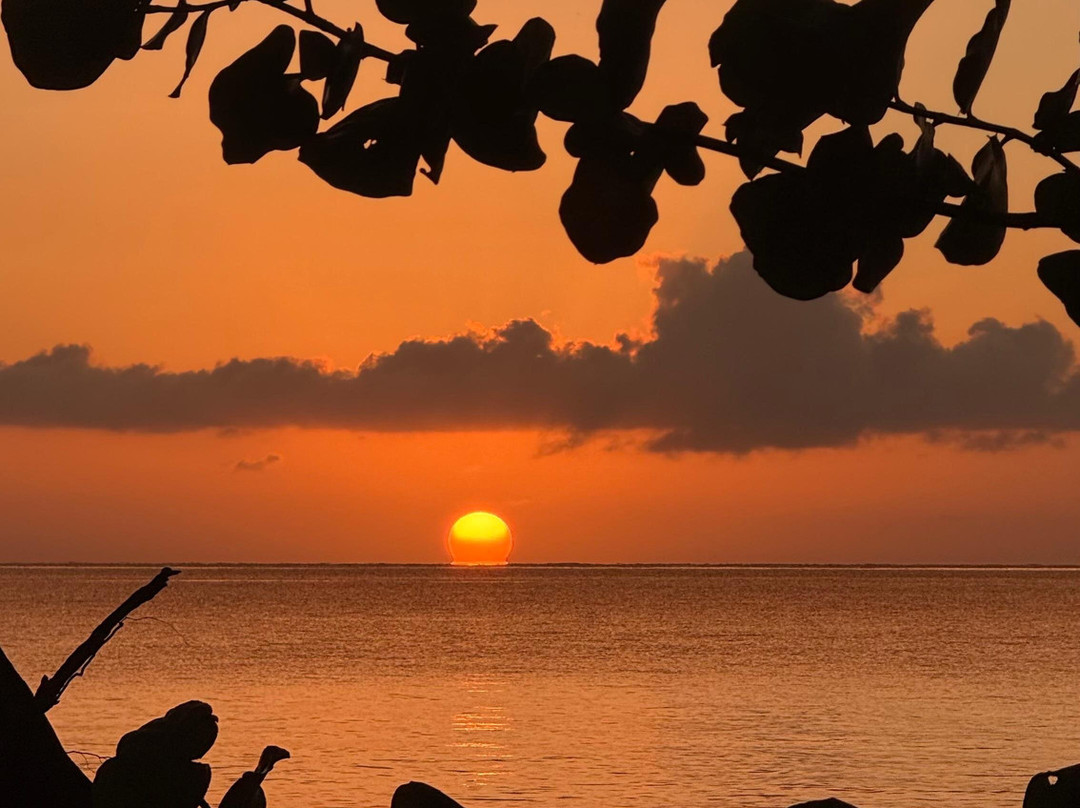 内格里尔日出俱乐部酒店主图