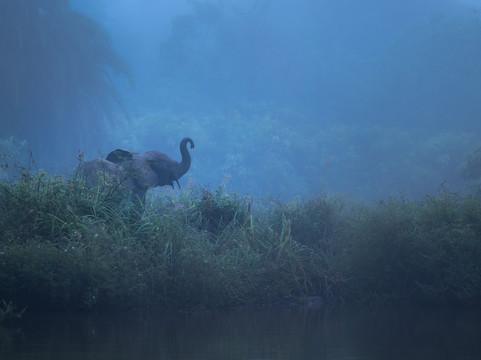 Wild Eye-弗维斯必去景点