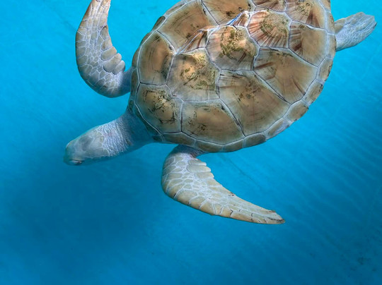 Sheya Tours-Ja Ela必去景点