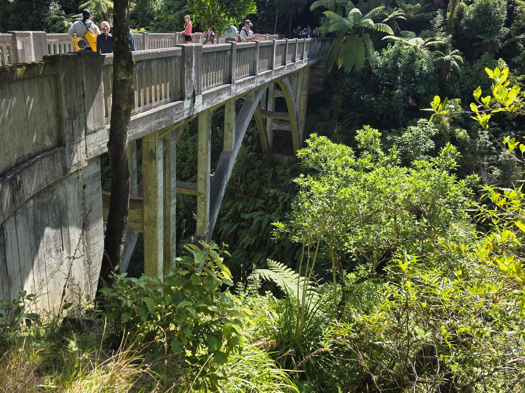 Whanganui River Adventures-Pipiriki必去景点