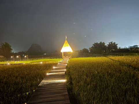 塔拉万荣度假村主图