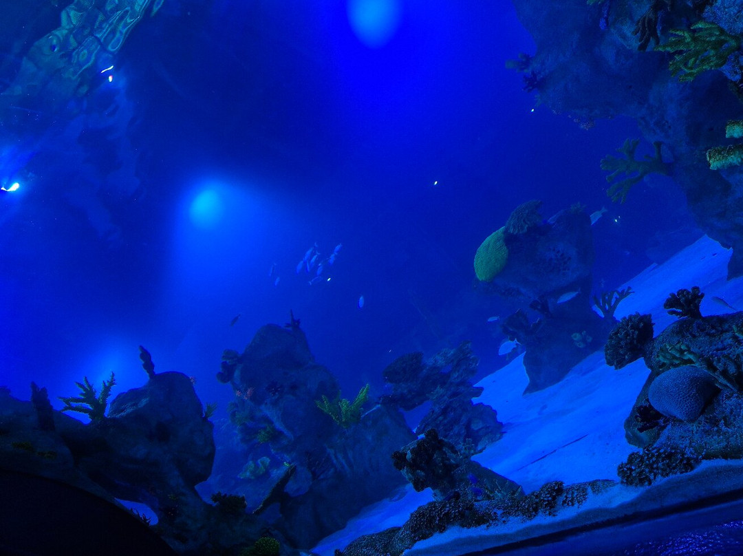 AquaFoz-伊瓜苏必去景点