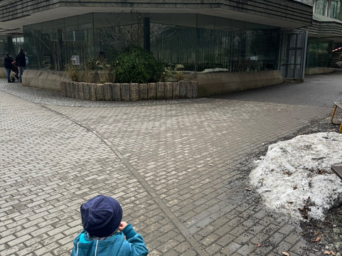 Zoo Liberec-利贝雷茨必去景点